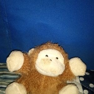ADORABLE NO NAME TINY BABY MONKEY